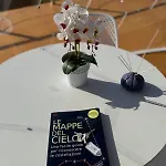 Palmaria Sky Bubbles 럭셔리텐트