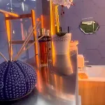 Palmaria Sky Bubbles 럭셔리텐트