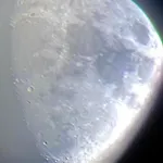 Palmaria Sky Bubbles